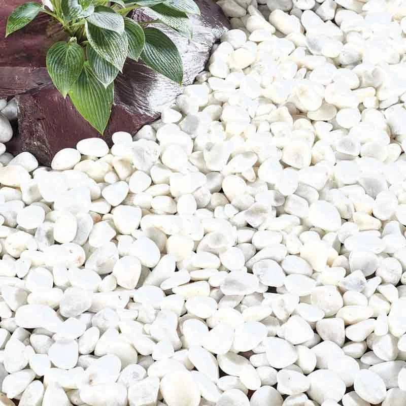 Kelkay Coral White Garden Pebbles 20-40mm - Bulk Bag - 7043 - Image 3